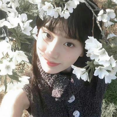 天网狼蛛