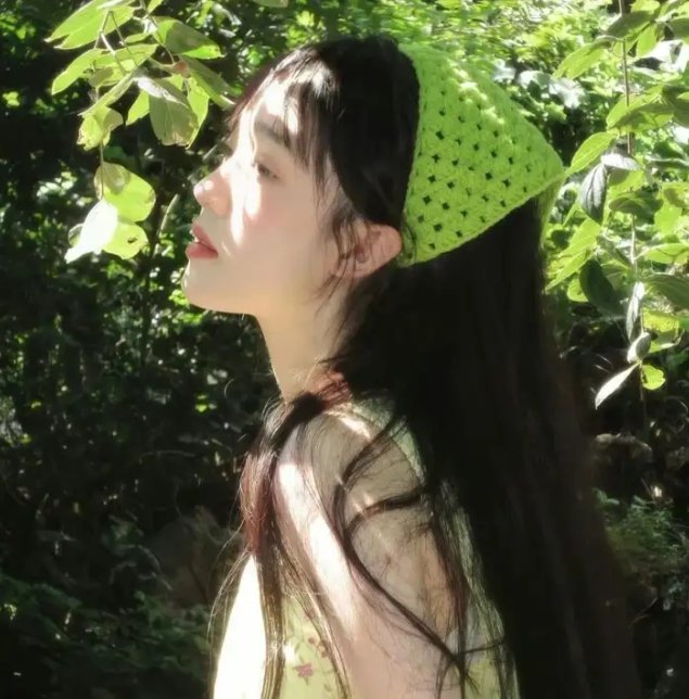 生命的圆圈
